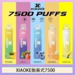梟客XIAOKE一次性電子菸拋棄式7500口